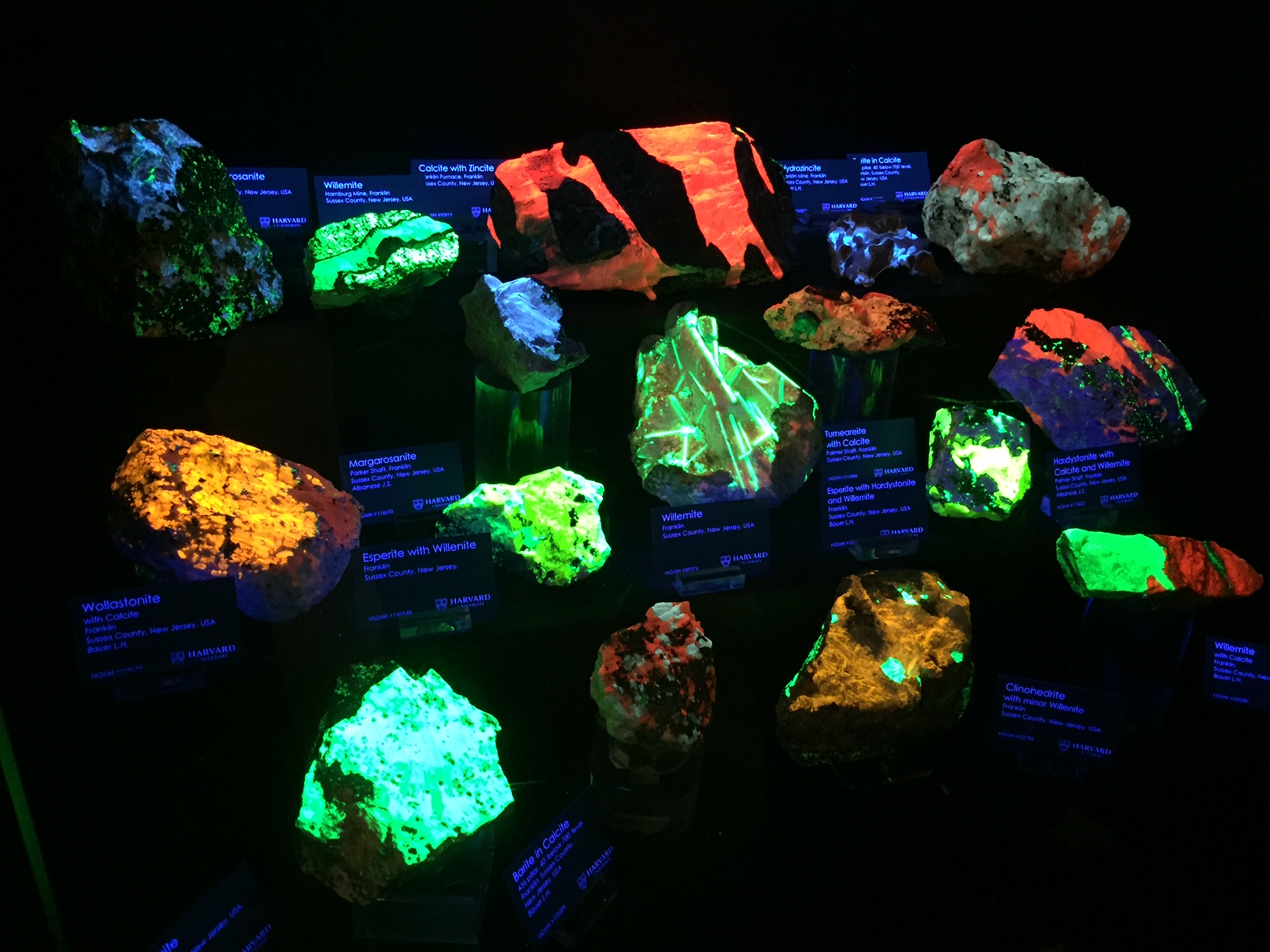 The Tucson Gem Show Soho Gem Fine Jewelry Boutique